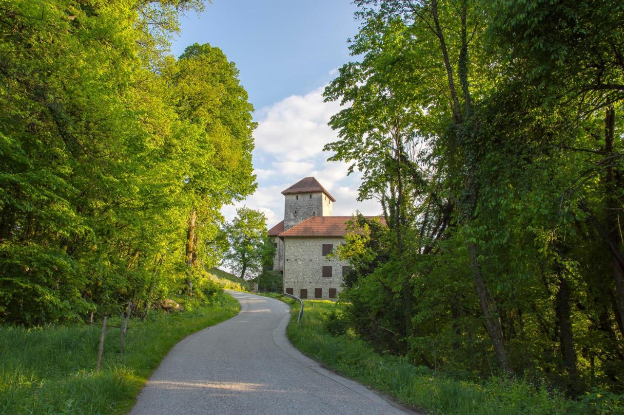 Domacija Vesel Trebnje Exterior foto