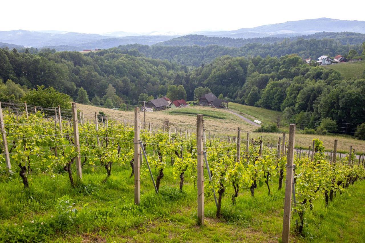 Domacija Vesel Trebnje Exterior foto